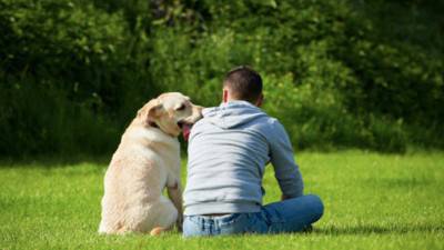 cane-padrone-400x225