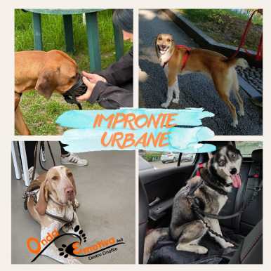 impronte urbane