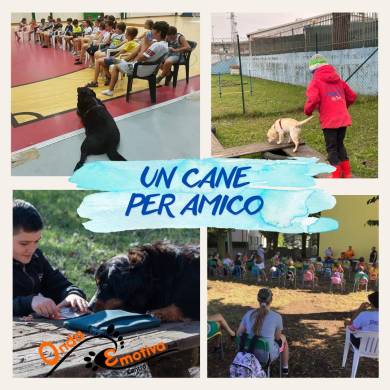 un cane per amico